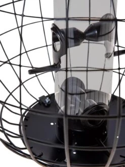 Mixed Seed Globe Cage Feeder -Garden Supplies Sales 8586659 6400