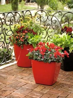 Viva Square Self-Watering Rolling Planter, 14" Diameter -Garden Supplies Sales 8586699 982 tif