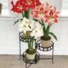Nesting Triple Pot Stand -Garden Supplies Sales 8586747 6012 tif