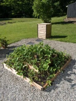 3-Tier Strawberry Bed -Garden Supplies Sales 8586752 2341 tif