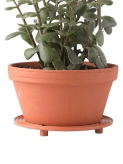 5" SurfaceSaver® , Set Of 2 -Garden Supplies Sales 8586907 014 tif