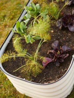 Birdies™ Modular Metal Raised Bed -Garden Supplies Sales 8586930 6019 tif