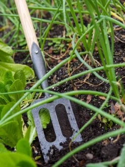 Gardener's Lifetime Spork 10 Gardener's Lifetime Spork -Garden Supplies Sales 8586973 2383 tif