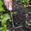 Gardener's Lifetime Cape Cod Weeder, Right-Handed -Garden Supplies Sales 8586974 2361 tif