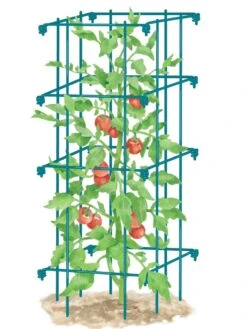 Tomato Cage, Single -Garden Supplies Sales 8587039 TomatoCage BLUE tif