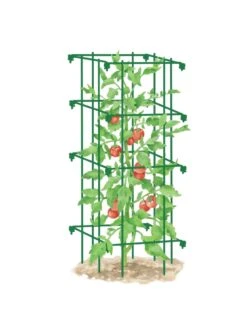 Tomato Cage, Single -Garden Supplies Sales 8587039 TomatoCage GRN tif