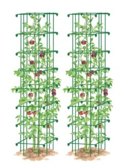 Tomato Towers, Set Of 2 9 Tomato Towers, Set Of 2 -Garden Supplies Sales 8587041 0006 GRN tif