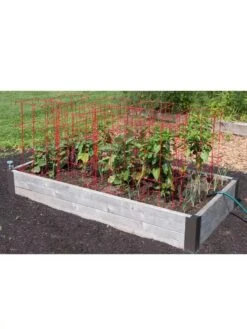 Pepper And Eggplant Cages, Set Of 3 -Garden Supplies Sales 8587048 6008 3 4