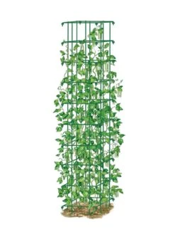 Bean Tower -Garden Supplies Sales 8587060 0008 GRN tif