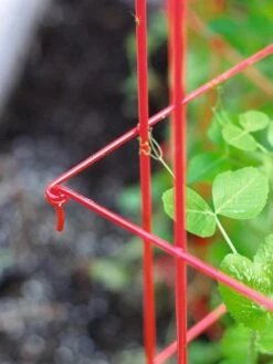 Tall Expandable Pea Trellis -Garden Supplies Sales 8587061 010 tif