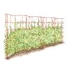 Expandable Pea Trellis 1 Expandable Pea Trellis -Garden Supplies Sales 8587061 PeaFence Red 001E tif