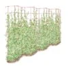 Tall Expandable Pea Trellis -Garden Supplies Sales 8587062 0001 RED tall expandable pea trelis tif