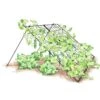 Large Cucumber Trellis -Garden Supplies Sales 8587082 CukeTrellis L Blk 001E tif