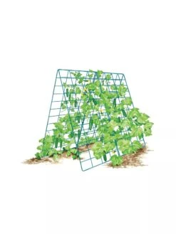 Deluxe Cucumber Trellis 17 Deluxe Cucumber Trellis -Garden Supplies Sales 8587083 001 BLUE Cukes two sided deluxe cucumber trellis support storm blue 3 4