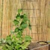 Wire A-Frame Trellis -Garden Supplies Sales 8587104 526 tif
