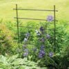 Jardin Ladder Trellis 1 Jardin Ladder Trellis -Garden Supplies Sales 8587107 1651 tif