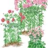 Grow Through Supports, Set Of 3 -Garden Supplies Sales 8587111RS 001E 1