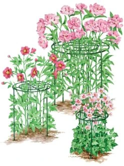 Garden Supplies Sales 3 Grow Through Supports, Set Of 3
