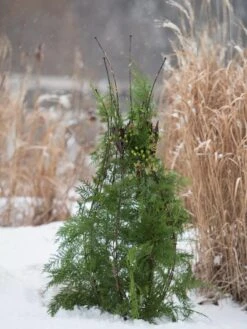 Jardin Pot Trellis -Garden Supplies Sales 8587120 009 tif