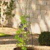 Jardin Pot Trellis 1 Jardin Pot Trellis -Garden Supplies Sales 8587120 224 tif