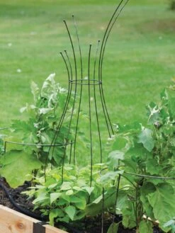 Jardin Pot Trellis -Garden Supplies Sales 8587120 7037 tif
