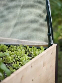 Planter Box, Frame And 2 Covers Kit, 2' X 4' -Garden Supplies Sales 8587631 265 tif 2