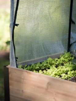 Protection Frame & Covers, 2' X 4' -Garden Supplies Sales 8587631 268 tif