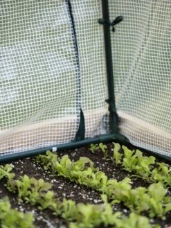 Protection Frame & Covers, 2' X 4' -Garden Supplies Sales 8587631 271 tif