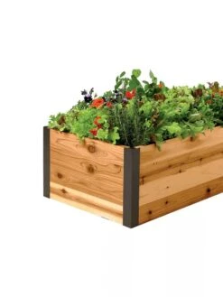 Deep Root Raised Beds, 14" Deep 2' Wide -Garden Supplies Sales 8587798 001E 1