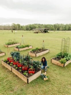 Deep Root Raised Beds, 14" Deep 4' Wide -Garden Supplies Sales 8587813 505 tif