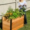 Elevated Raised Bed, 2' X 4' -Garden Supplies Sales 8587822 675 tif