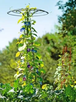 Essex Tuteur, 78" 13 Essex Tuteur, 78" -Garden Supplies Sales 8587861 5028 tif