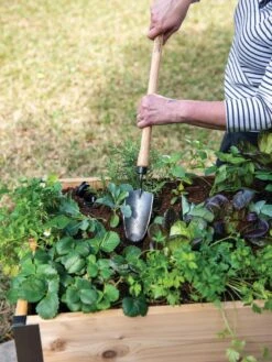 Gardener's Lifetime Raised Bed Trowel -Garden Supplies Sales 8588014 4084 tif