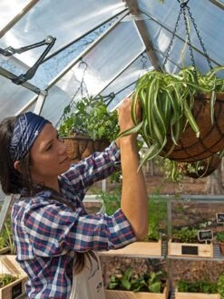 Canopia® By Palram Balance Greenhouse, 8' X 12' -Garden Supplies Sales 8588023 07V jpg