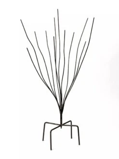 Bottle Bush 7 Bottle Bush -Garden Supplies Sales 8588047 0697