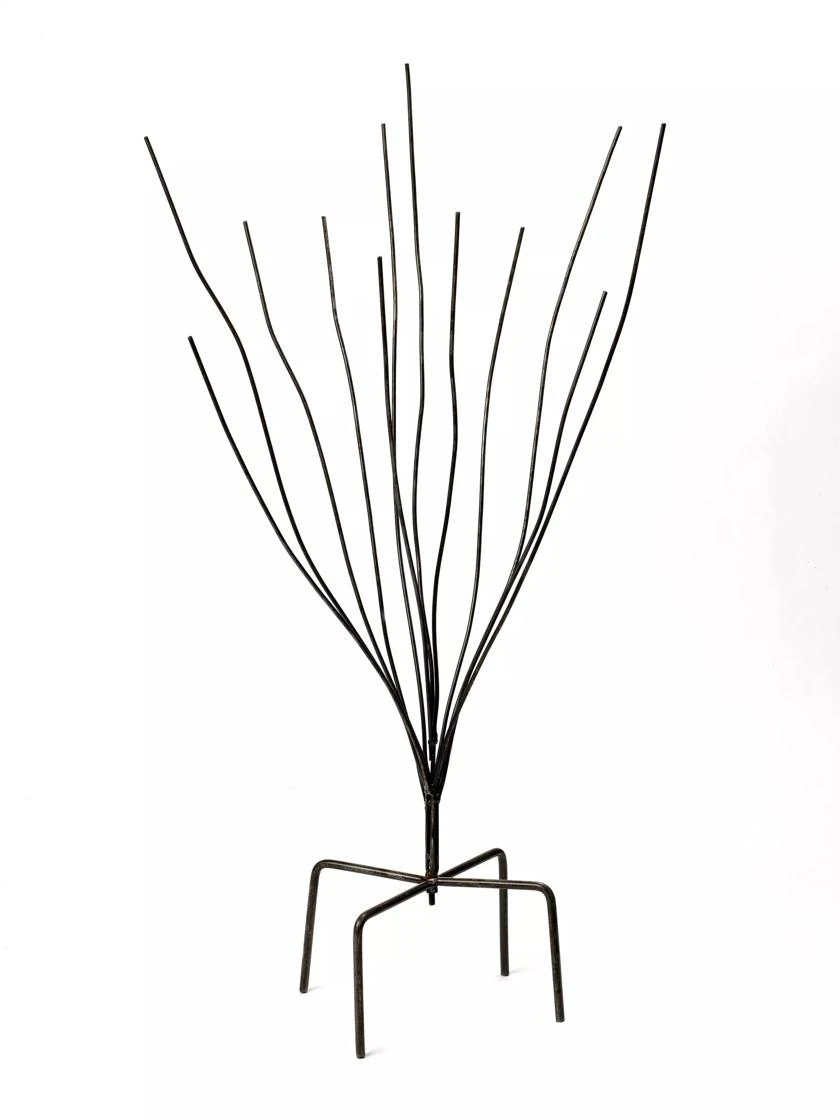 Bottle Bush 5 Bottle Bush - Image 3