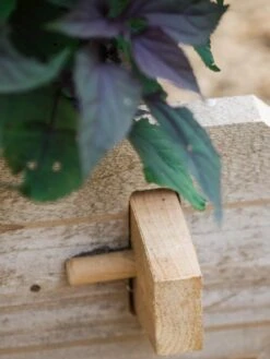 Farmstead Cedar Raised Garden Beds, 2' -Garden Supplies Sales 8588144 12V tif