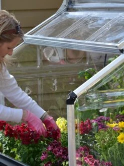 Canopia® By Palram Plant Inn™ Raised Bed Greenhouse, 4' X 4' 27 Canopia® By Palram Plant Inn™ Raised Bed Greenhouse, 4' X 4' -Garden Supplies Sales 8588308 04V tif