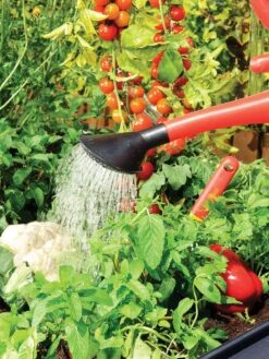 Canopia® By Palram Plant Inn™ Raised Bed Greenhouse, 4' X 4' 24 Canopia® By Palram Plant Inn™ Raised Bed Greenhouse, 4' X 4' -Garden Supplies Sales 8588308 06V tif