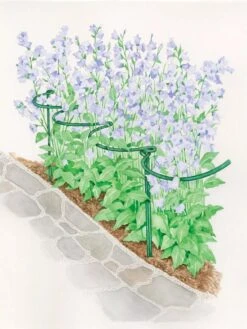 Tidy Path Supports 6 Tidy Path Supports -Garden Supplies Sales 8588403 003 1