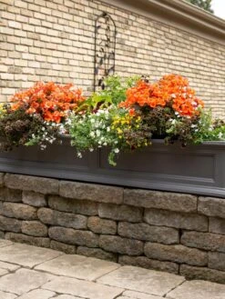 Fairfield Self-Watering Window Box, 5’ -Garden Supplies Sales 8588938 105V tif