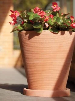 Universal Round Planter Saucers 9 Universal Round Planter Saucers -Garden Supplies Sales 8589526 001V tif