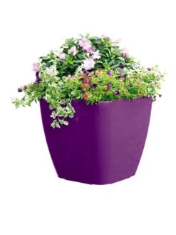 Viva Square Self-Watering Rolling Planter, 17.5" Diameter -Garden Supplies Sales 8589778PR 6126 tif