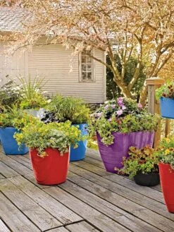 Viva Square Self-Watering Rolling Planter, 17.5" Diameter -Garden Supplies Sales 8589778 09000 tif