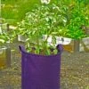 Gardener's Best® Potato Grow Bag -Garden Supplies Sales 8589785PR 4191 potato grow bags with handles tif
