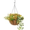 AquaSav™ Oxford Hanging Basket, 14" -Garden Supplies Sales 8589789 028 tif