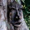 Friendly Ent Tree Face 1 Friendly Ent Tree Face -Garden Supplies Sales 8589841 001v
