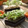 Growease Seed Starter Kit -Garden Supplies Sales 8589987 1114 seed starting tif