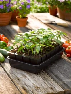Growease Seed Starter Kit 16 Growease Seed Starter Kit -Garden Supplies Sales 8589987 1148 tif