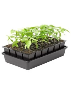 Growease Seed Starter Kit 20 Growease Seed Starter Kit -Garden Supplies Sales 8589987 1153 tif